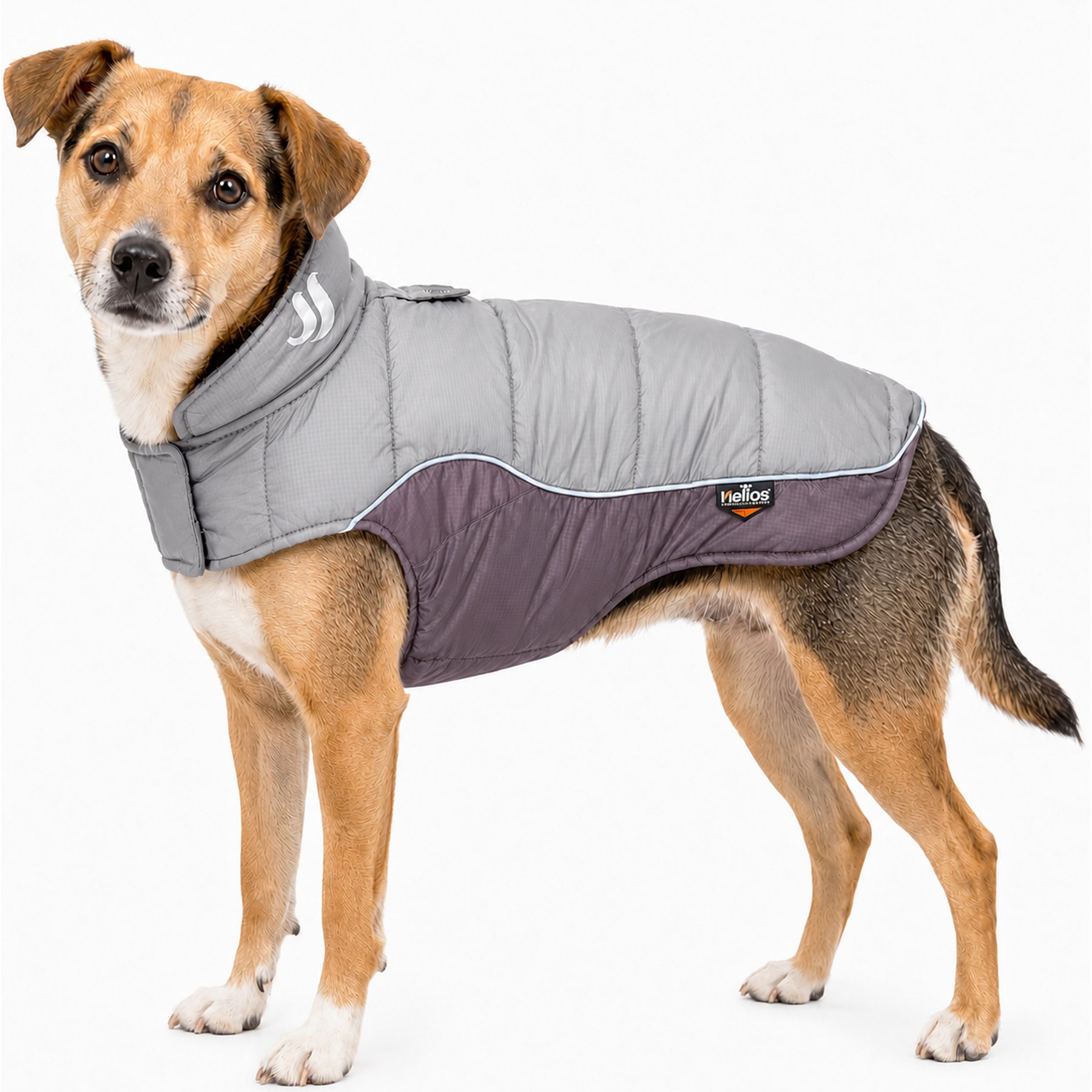 Dog Helios Hurricane Reflective Dog Coat, Silver, Small