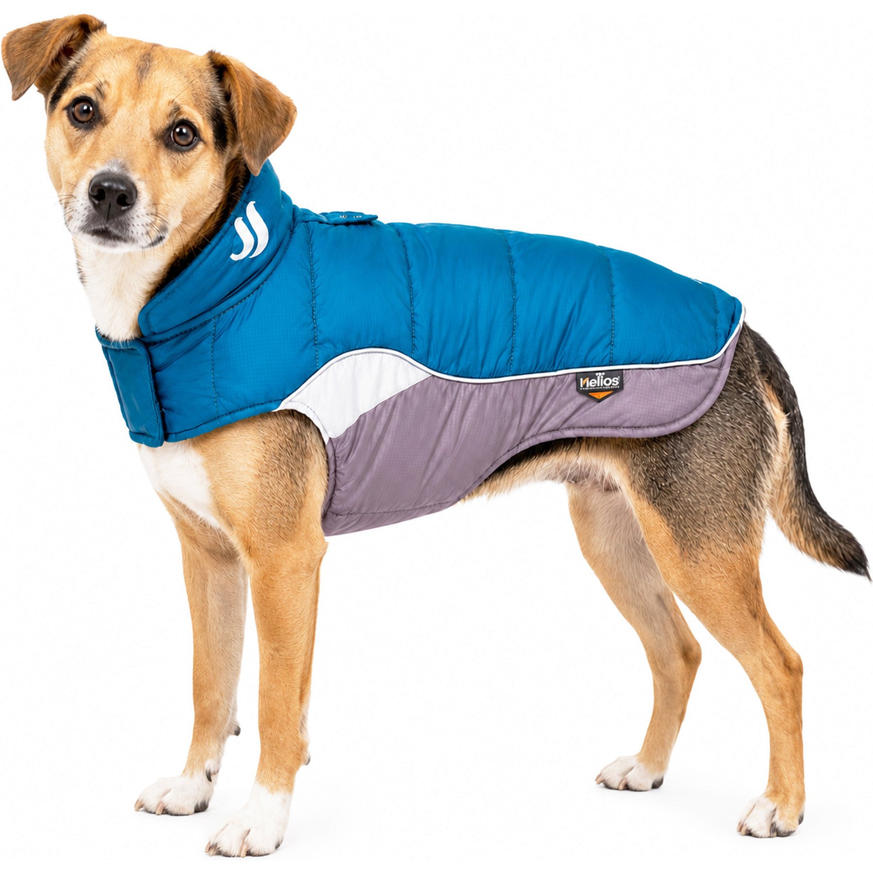 Dog Helios Hurricane Reflective Dog Coat, Blue, Small
