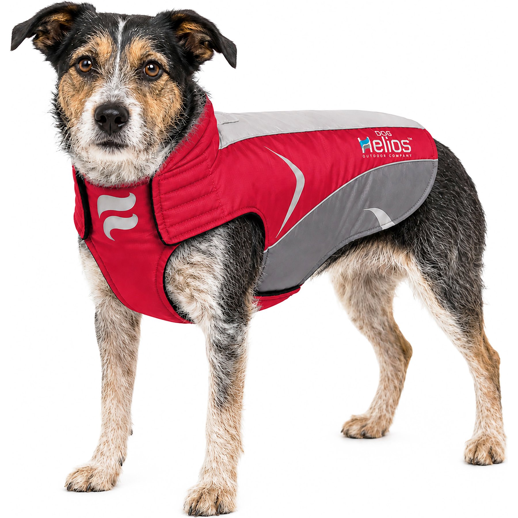 Dog Helios Altitude Mountaineer Dog Coat, Red, X-Large