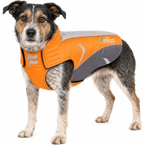 Dog Helios Altitude Mountaineer Dog Coat, Orange, Small