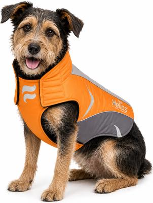 Show full view: Dog Helios Altitude Mountaineer Dog Coat, Orange, Small slide 3 of 10