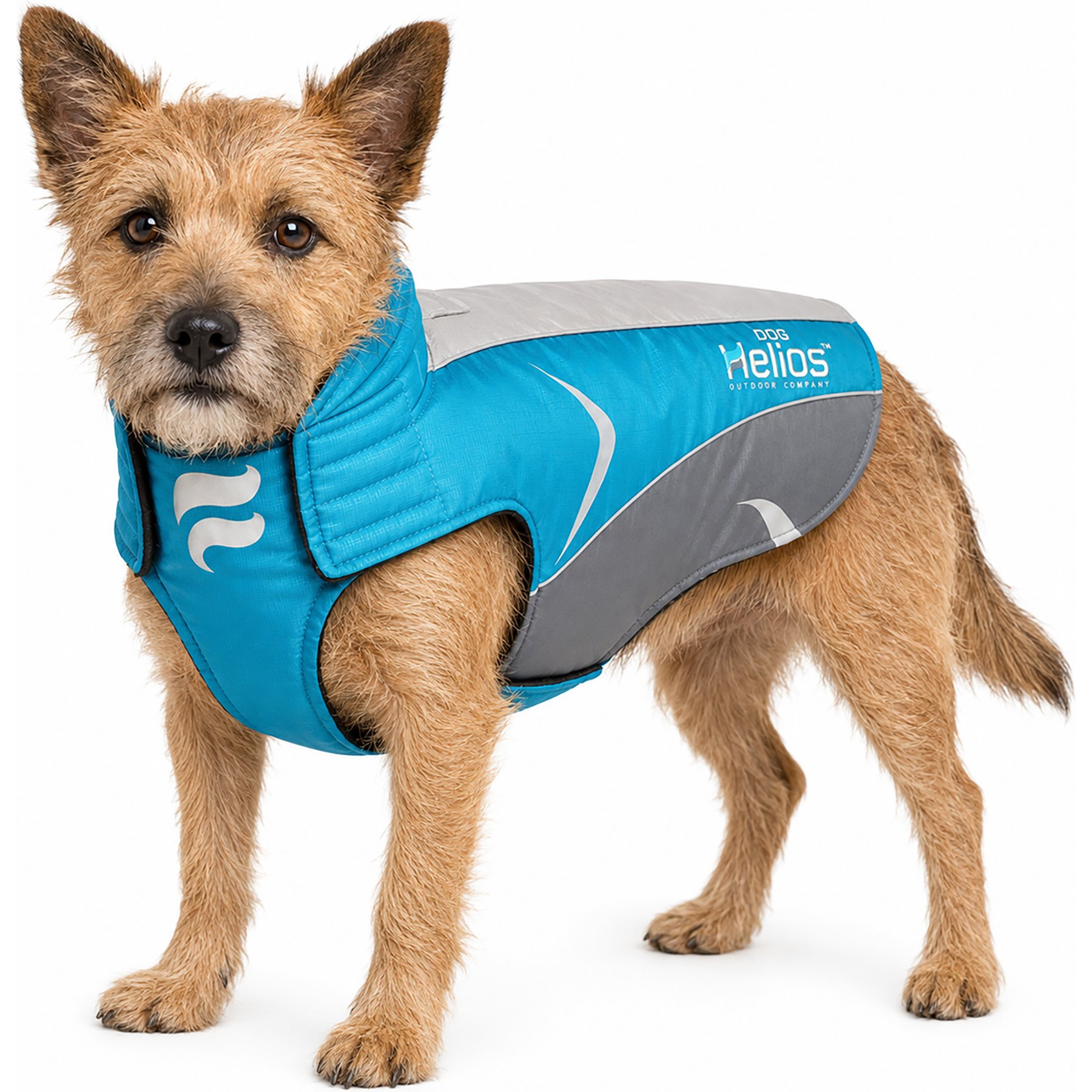 Dog Helios Altitude Mountaineer Dog Coat, Blue, Small