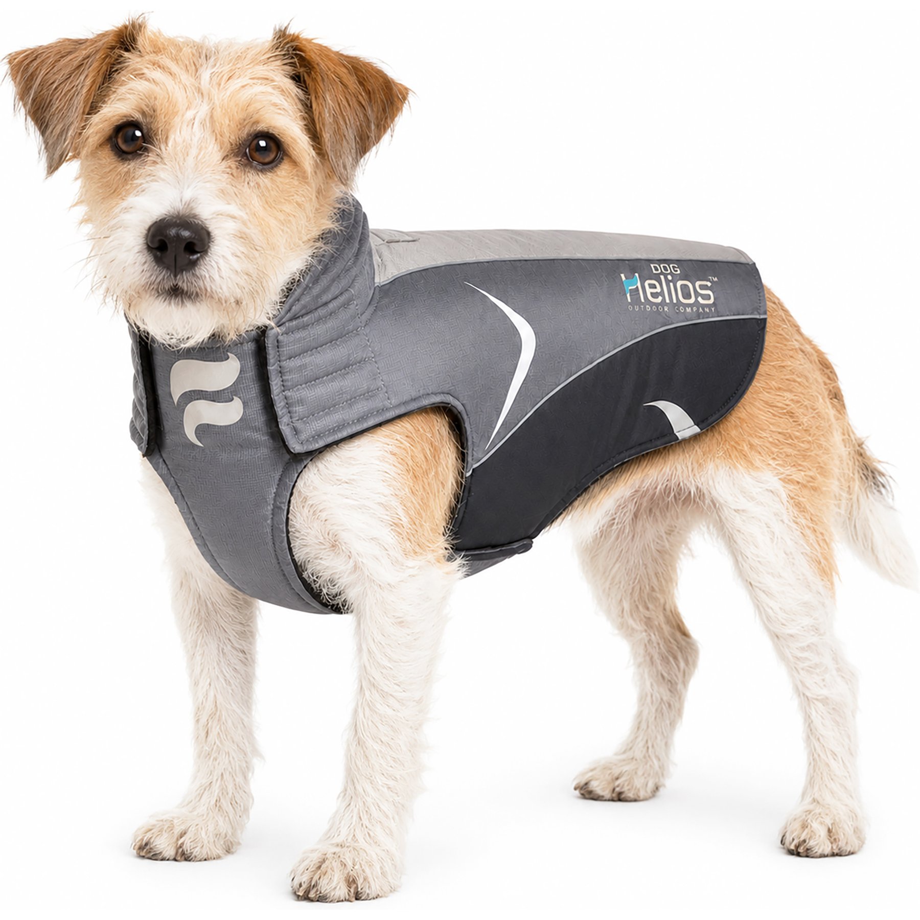 Dog Helios Altitude Mountaineer Dog Coat, Black, Small
