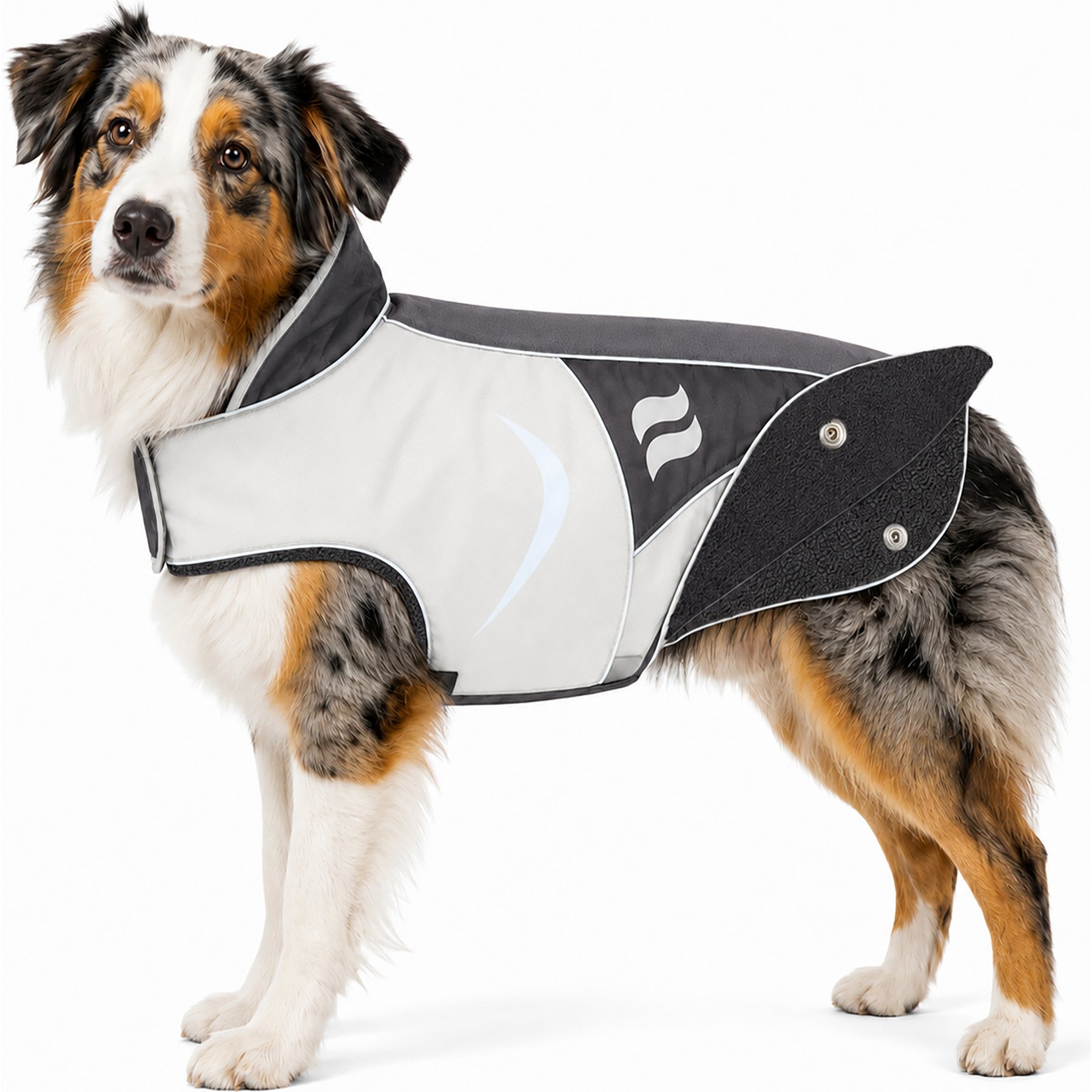 Dog Helios Lotus 2-in-1 Convertible Dog Jacket, Black, X-Small