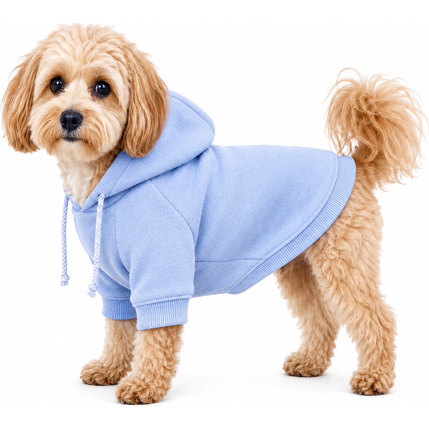 Pet Life French Terry Hooded Dog Sweater, Medium, Blue