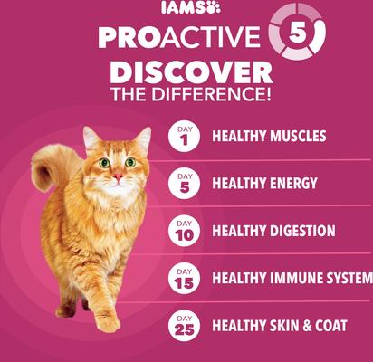 Show full view: Iams ProActive Health Hairball & Urinary Tract Health with Chicken Recipe Dry Cat Food, 22-lb bag slide 10 of 10