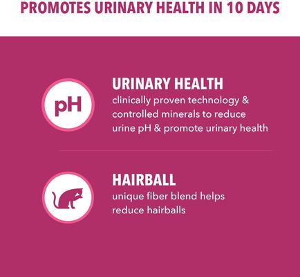 Show full view: Iams ProActive Health Hairball & Urinary Tract Health with Chicken Recipe Dry Cat Food, 22-lb bag slide 5 of 10
