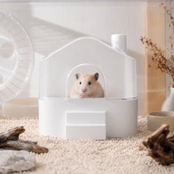 NonoPets Spacious Semi-Transparent Sand Bath House Dust Bathing Box Bathroom Container Shelter Hideout for Syrian Hamsters Gerbils Mice & Small Pets