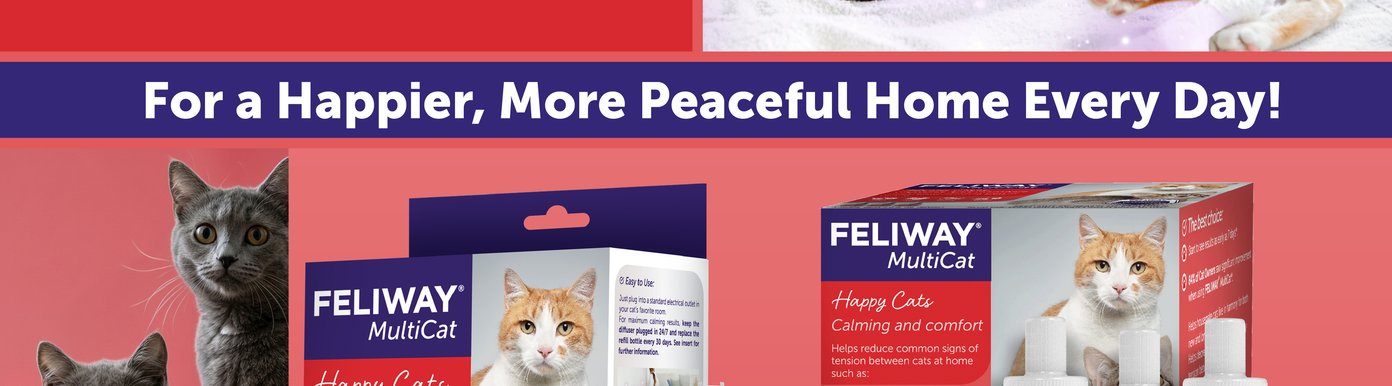 Feliway MultiCat is the number one veterinary recommended brand for helping reduce conflict between cats in the home. The calming diffuser is formulated to support comfortable cohabitation by helping ease stress and tension between cats. The product is intended for continuous use to promote long-term harmony.