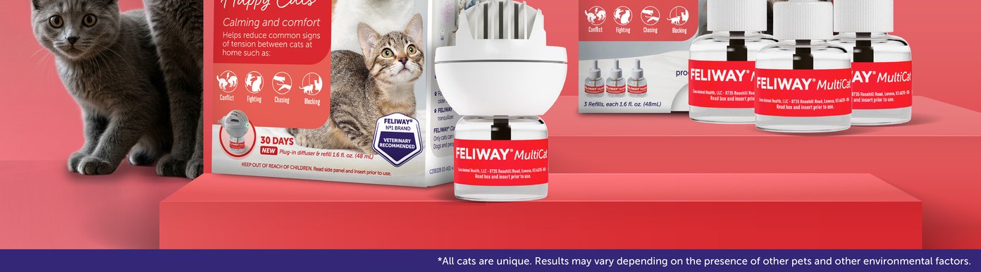 Feliway MultiCat helps support peaceful relationships by reducing behaviors associated with tension between cats. The calming formula encourages a more relaxed environment where cats can comfortably share their home. Consistent use helps promote calmer interactions and improved household harmony.