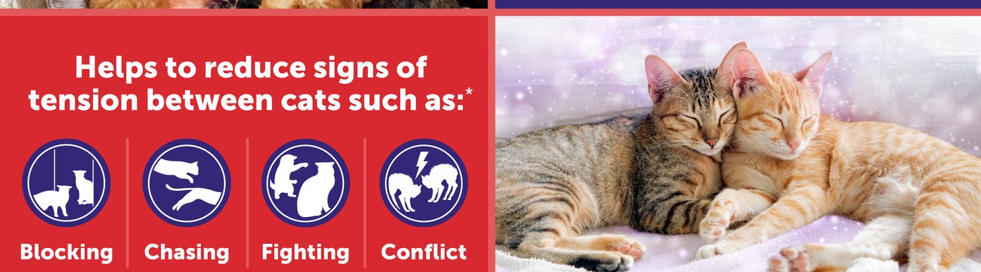 Feliway MultiCat is designed to help create a calmer home by reducing common signs of tension between cats. The diffuser provides calming support for up to 30 days with each refill to help maintain a more peaceful living environment. Individual results may vary depending on other pets and environmental factors.