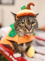 Conjure up Halloween fun