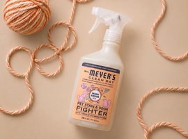 Must-haves for clean cat homes