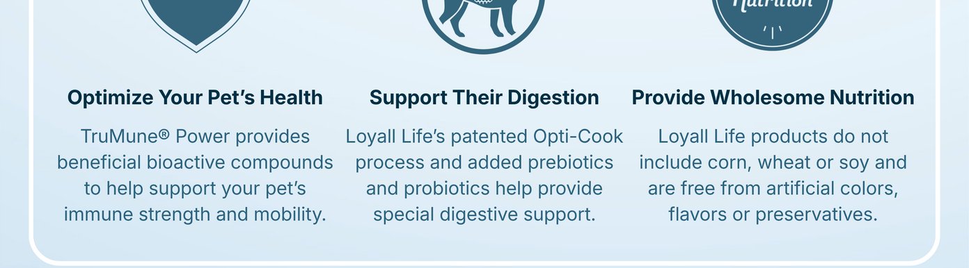 Nutrena Loyall Life is thoughtfully crafted to nourish dogs through every stage of life with nutrition designed to support their health, happiness, and well-being. Every bag is made with carefully selected ingredients to help pets thrive every day.
