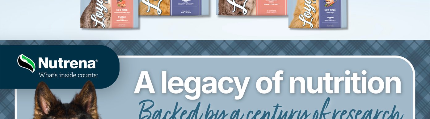 Nutrena Loyall Life cat food is available in recipes formulated for cats and kittens, including Chicken Recipe and Salmon & Ocean Fish Meal Recipe. Each formula is made with real animal protein and includes TruMune Power to support immunity and vitality while providing complete, balanced nutrition for growing kittens and adult cats.