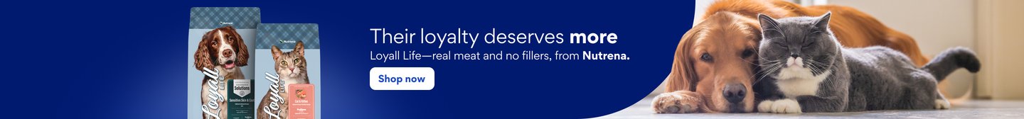 Their loyalty deserves more. Loyall Life - real meat and no fillers, from Nutrena. Shop now.