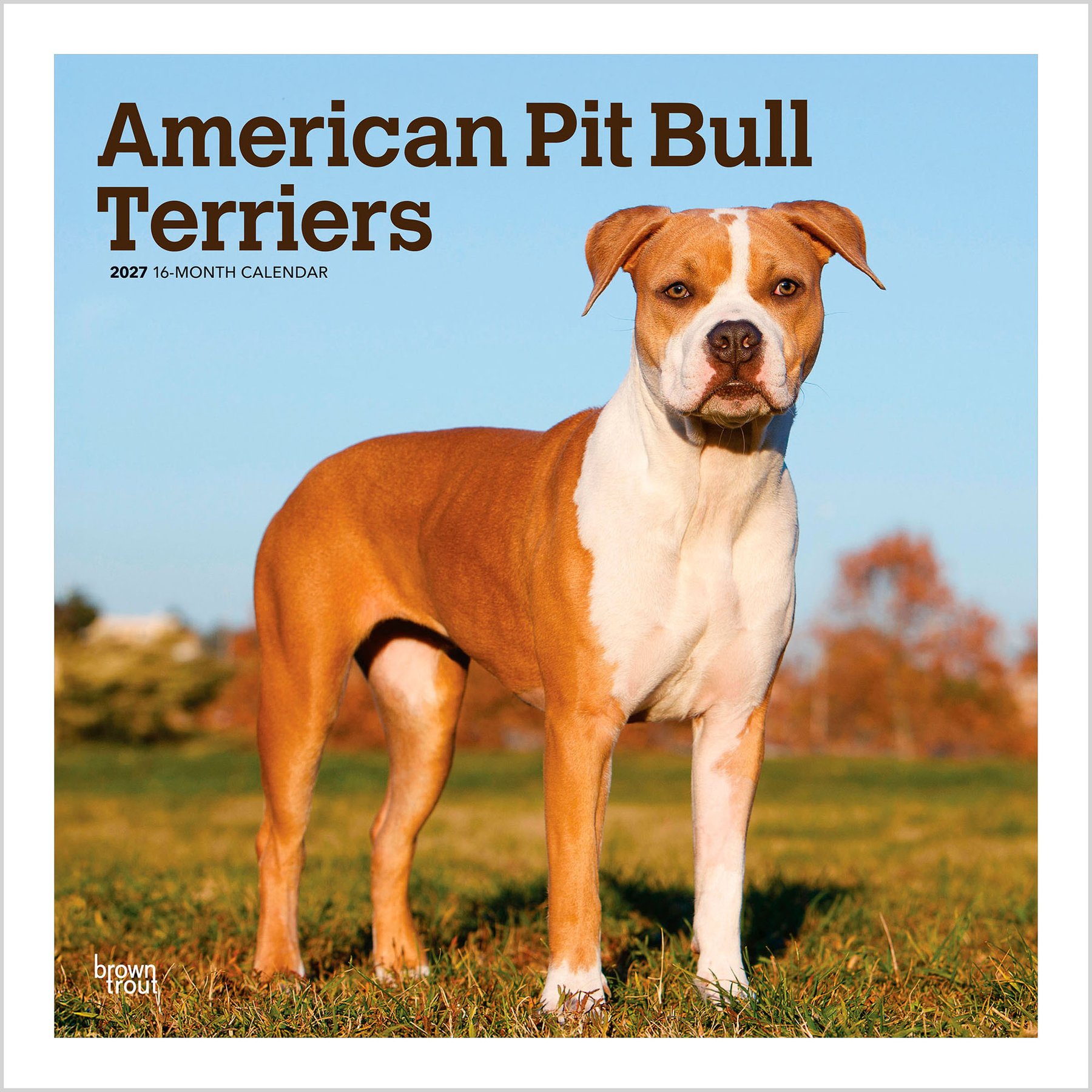 BrownTrout Publishers American Pit Bull Terriers 2027 Wall Calendar