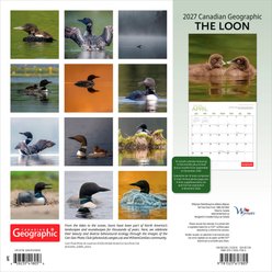 BrownTrout Publishers Canadian Geographic The Loon Official 2027 Wall Calendar slide 2 of 9