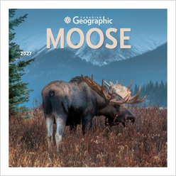 BrownTrout Publishers Canadian Geographic Moose Official 2027 Wall Calendar