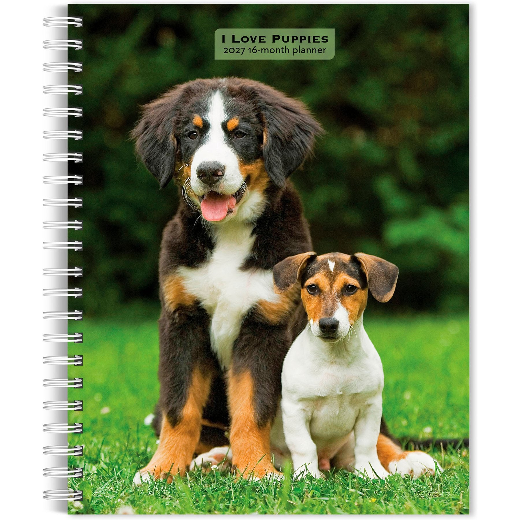 BrownTrout Publishers I Love Puppies 2027 Engagement Calendar