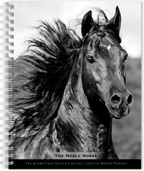 BrownTrout Publishers The Noble Horse 2027 Engagement Calendar