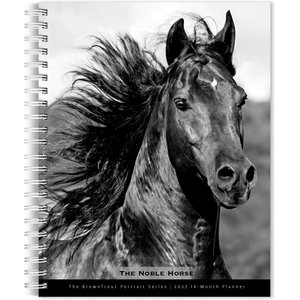 BrownTrout Publishers The Noble Horse 2027 Engagement Calendar