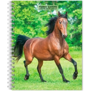 BrownTrout Publishers Horse Lovers 2027 Engagement Calendar