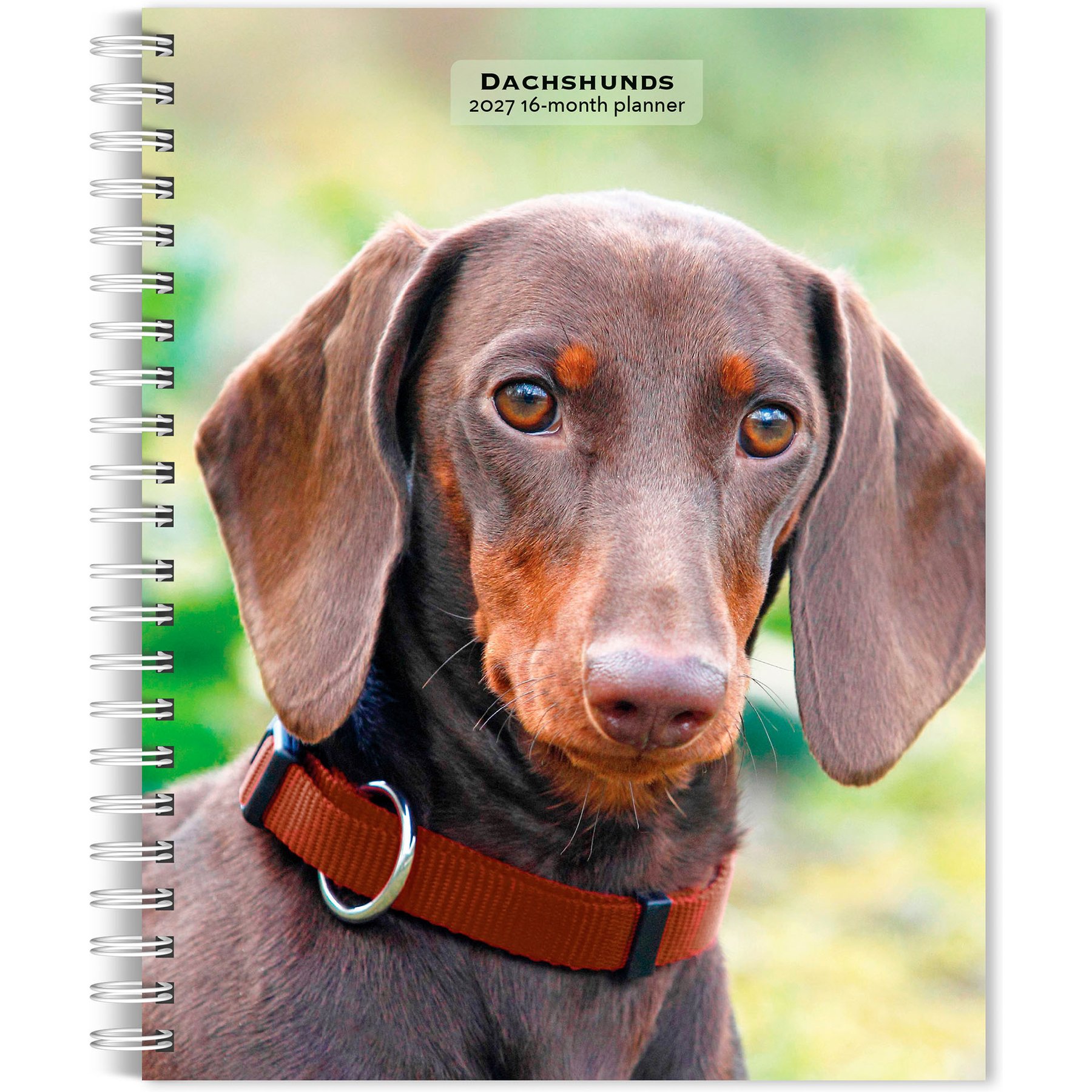 BrownTrout Publishers Dachshunds 2027 Engagement Calendar