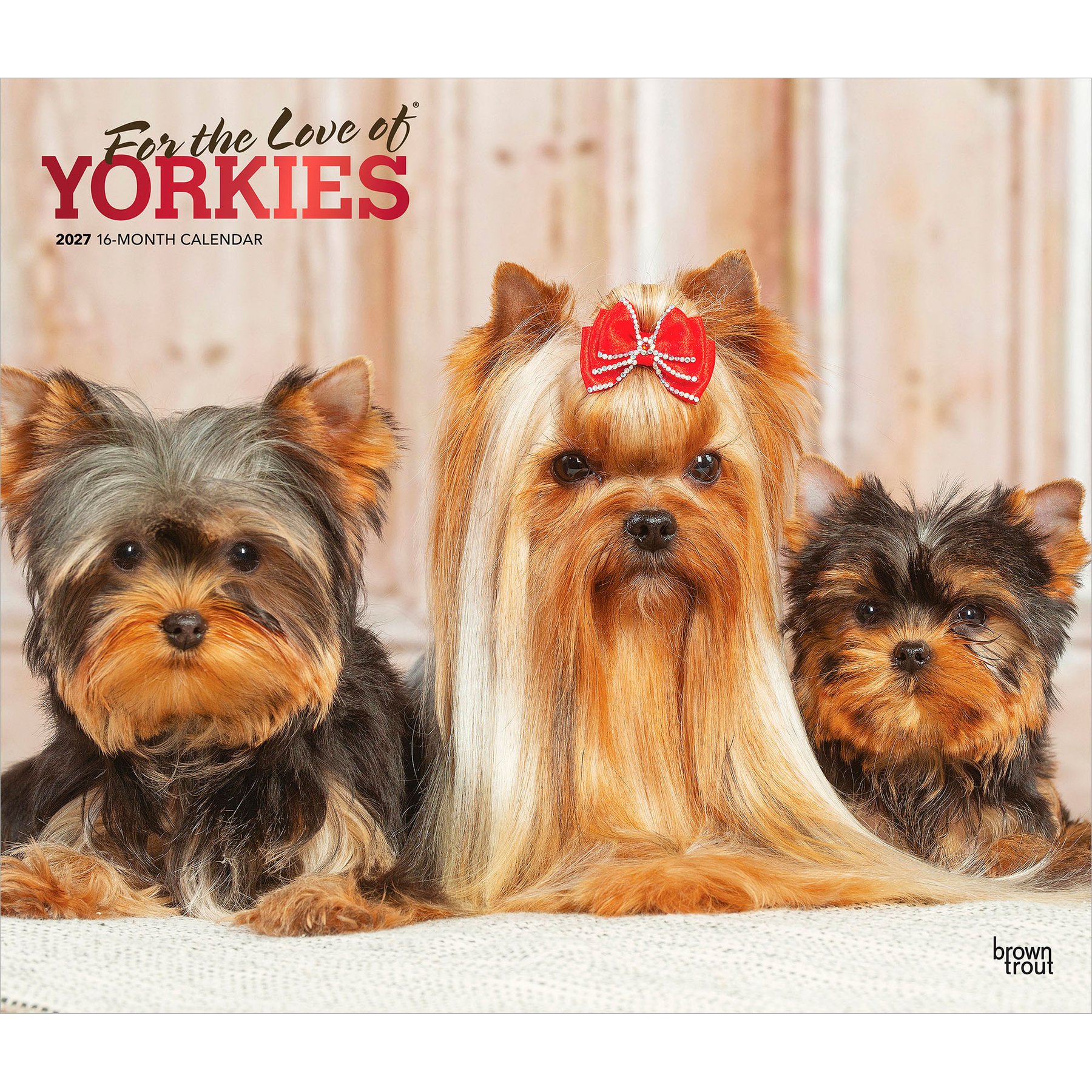 BrownTrout Publishers Yorkshire Terriers 2027 Deluxe Wall Calendar