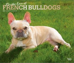 BrownTrout Publishers French Bulldogs 2027 Deluxe Wall Calendar