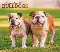 BrownTrout Publishers Bulldogs 2027 Deluxe Wall Calendar slide 1 of 9
