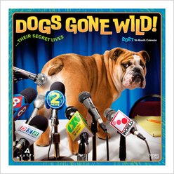 BrownTrout Publishers Avanti Dogs Gone Wild Official 2027 Wall Calendar