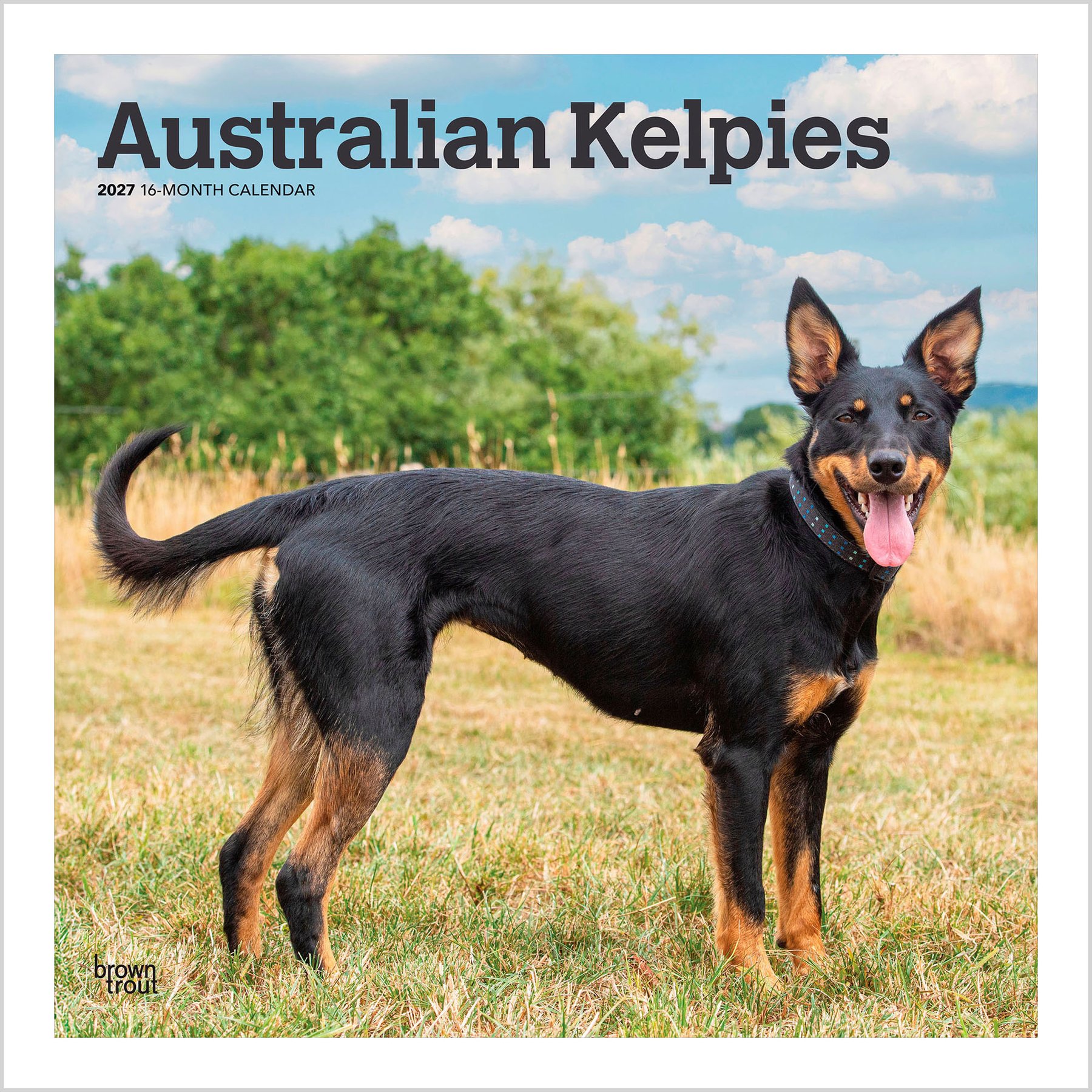 BrownTrout Publishers Australian Kelpies 2027 Wall Calendar