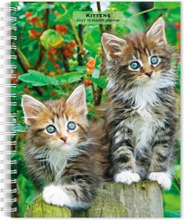 BrownTrout Publishers Kittens 2027 Engagement Calendar
