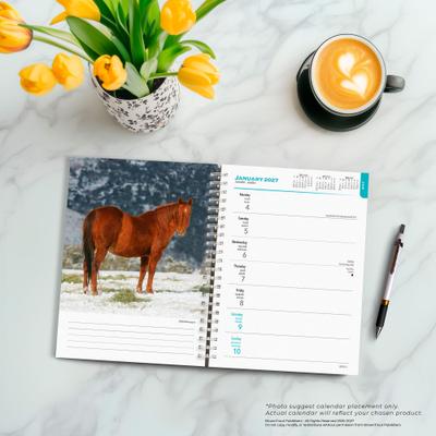 Show full view: BrownTrout Publishers Horse Lovers 2027 Engagement Calendar slide 5 of 9
