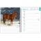 Show in main carousel: BrownTrout Publishers Horse Lovers 2027 Engagement Calendar slide 3 of 9
