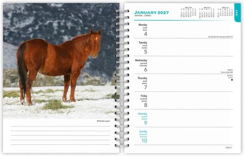 Show full view: BrownTrout Publishers Horse Lovers 2027 Engagement Calendar slide 3 of 9