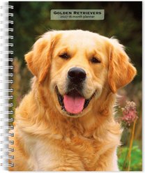 BrownTrout Publishers Golden Retrievers 2027 Engagement Calendar