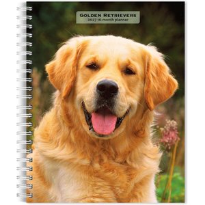 BrownTrout Publishers Golden Retrievers 2027 Engagement Calendar