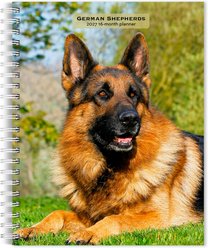 BrownTrout Publishers German Shepherds 2027 Engagement Calendar