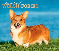 BrownTrout Publishers Welsh Corgis 2027 Deluxe Wall Calendar