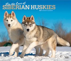 BrownTrout Publishers Siberian Huskies 2027 Deluxe Wall Calendar