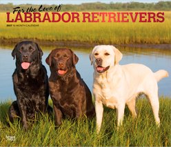 BrownTrout Publishers Labrador Retrievers 2027 Deluxe Wall Calendar