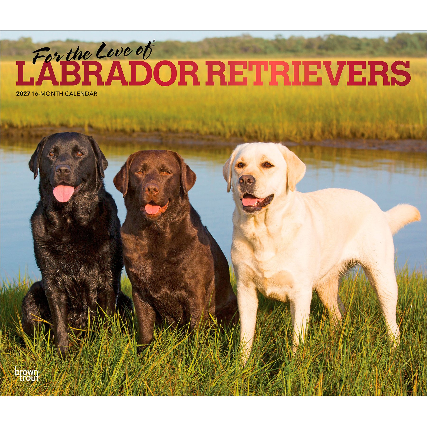 BrownTrout Publishers Labrador Retrievers 2027 Deluxe Wall Calendar