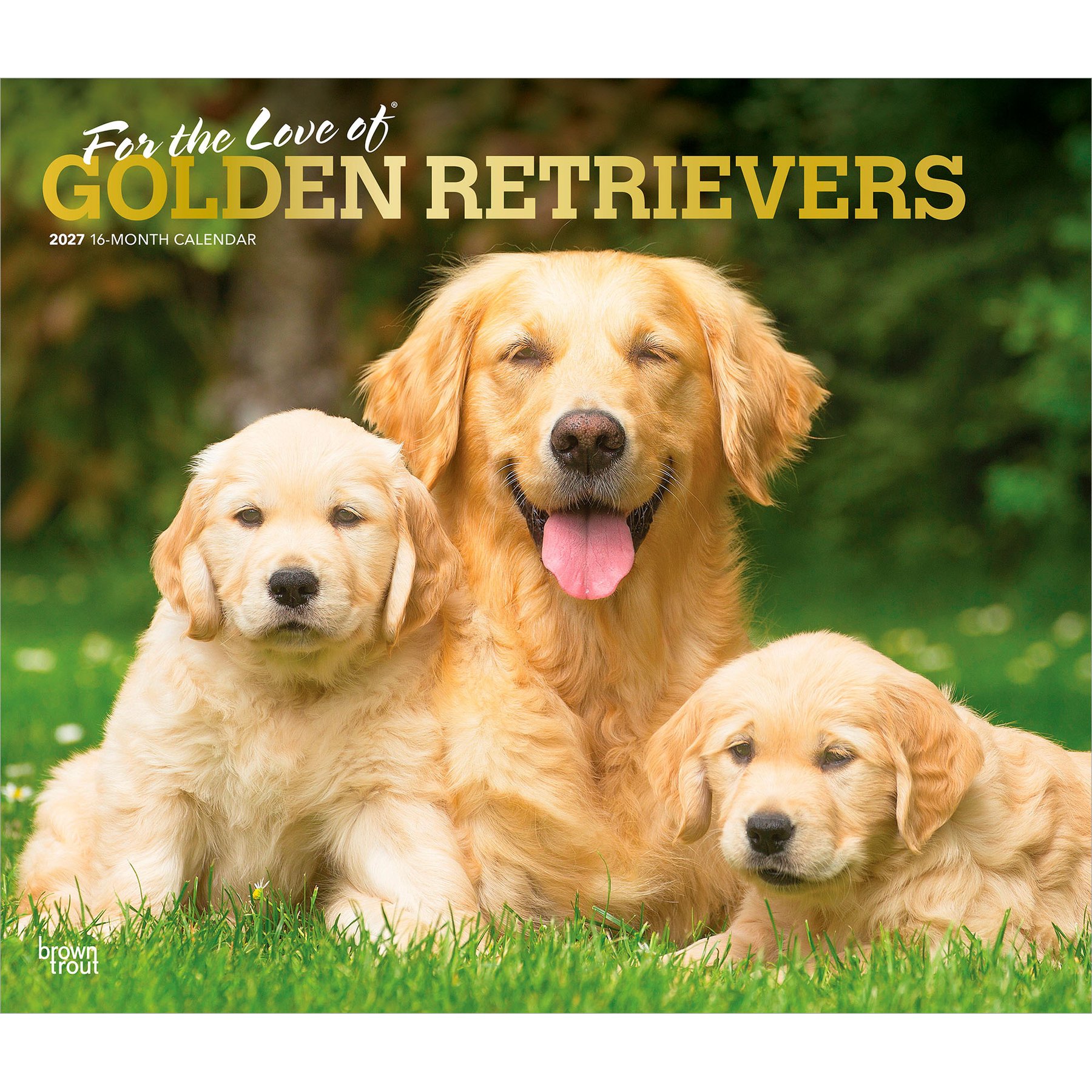 BrownTrout Publishers Golden Retrievers 2027 Deluxe Wall Calendar