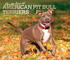 BrownTrout Publishers American Pit Bull Terriers 2027 Deluxe Wall Calendar