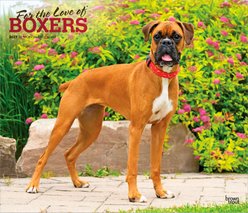 BrownTrout Publishers Boxers 2027 Deluxe Wall Calendar slide 1 of 9