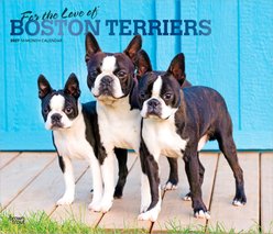 BrownTrout Publishers Boston Terriers 2027 Deluxe Wall Calendar slide 1 of 9