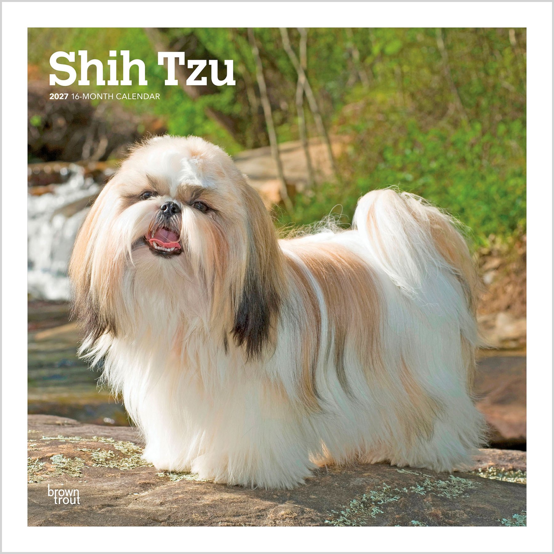 BrownTrout Publishers Shih Tzu 2027 Wall Calendar