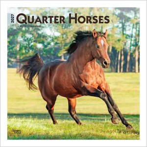 BrownTrout Publishers Quarter Horses 2027 Wall Calendar